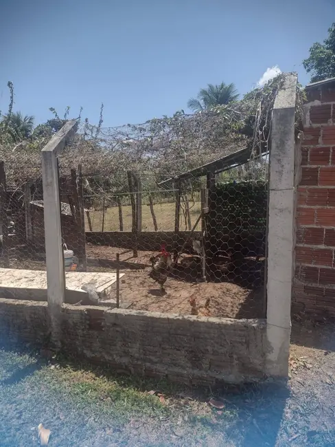 Sítio / Rancho com 1 quarto à venda, 9000m2 em Piau, Tibau Do Sul - RN - imagem 9 Foto 9 de Sítio / Rancho com 1 quarto à venda, 9000m2 em Piau, Tibau Do Sul - RN