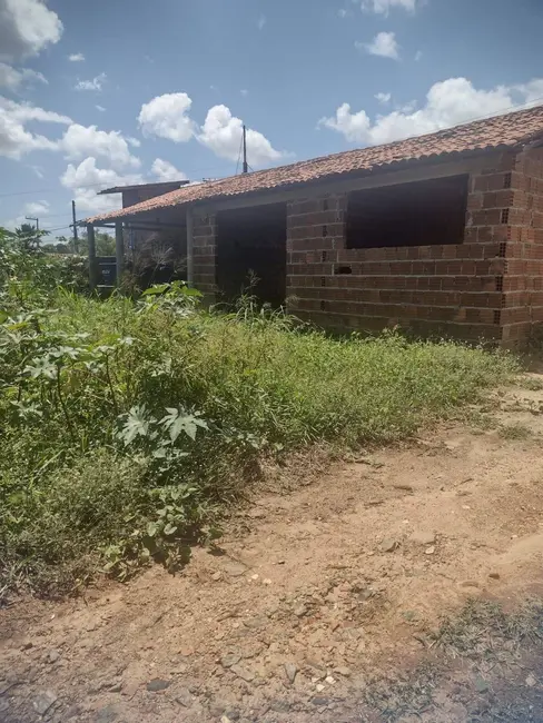 Sítio / Rancho com 1 quarto à venda, 9000m2 em Piau, Tibau Do Sul - RN - imagem 3 Foto 3 de Sítio / Rancho com 1 quarto à venda, 9000m2 em Piau, Tibau Do Sul - RN