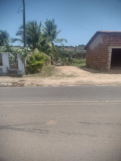 Sítio / Rancho com 1 quarto à venda, 9000m2 em Piau, Tibau Do Sul - RN - imagem 6 Foto 6 de Sítio / Rancho com 1 quarto à venda, 9000m2 em Piau, Tibau Do Sul - RN
