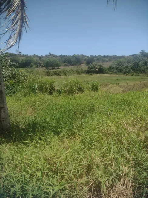 Foto 2 de Sítio / Rancho com 1 quarto à venda, 9000m2 em Piau, Tibau Do Sul - RN