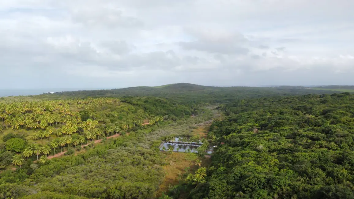 Foto 3 de Casa com 2 quartos à venda, 4000m2 em Centro, Tibau Do Sul - RN