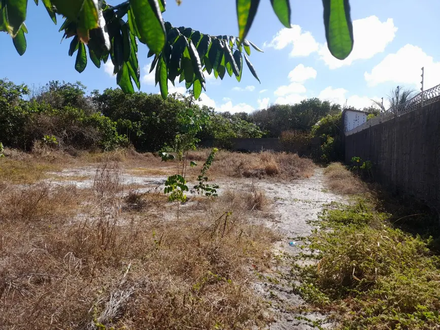 Foto 1 de Terreno / Lote à venda em Centro, Tibau Do Sul - RN
