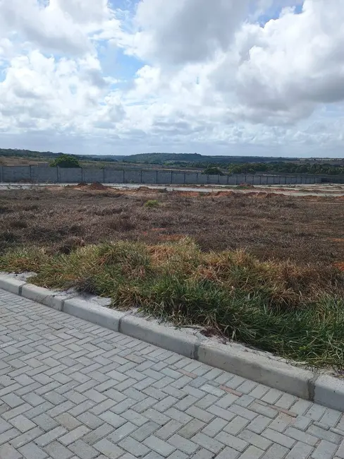 Foto 4 de Terreno / Lote à venda, 1520m2 em Tibau Do Sul - RN