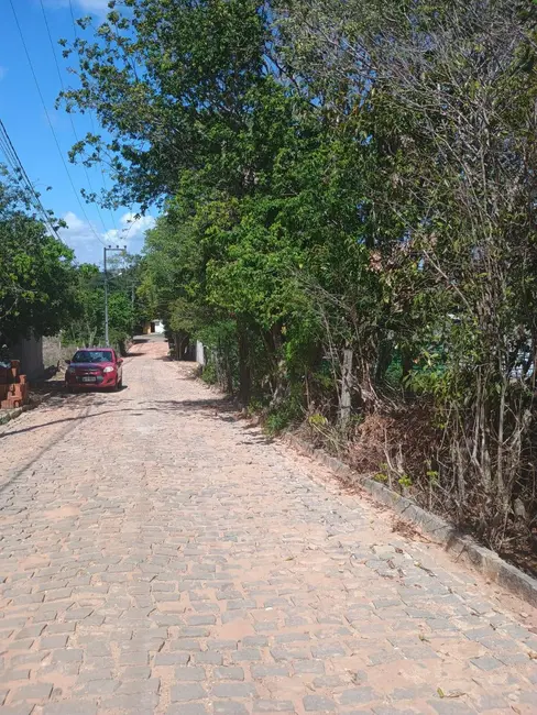 Foto 1 de Terreno / Lote à venda, 1000m2 em Tibau Do Sul - RN