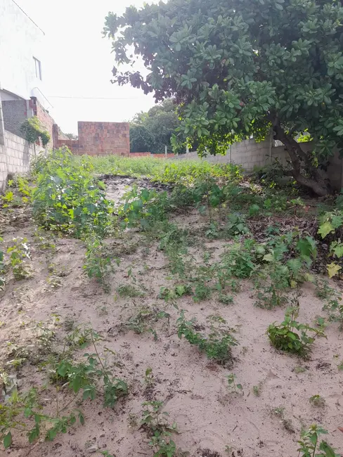 Foto 2 de Terreno / Lote à venda, 210m2 em Tibau Do Sul - RN