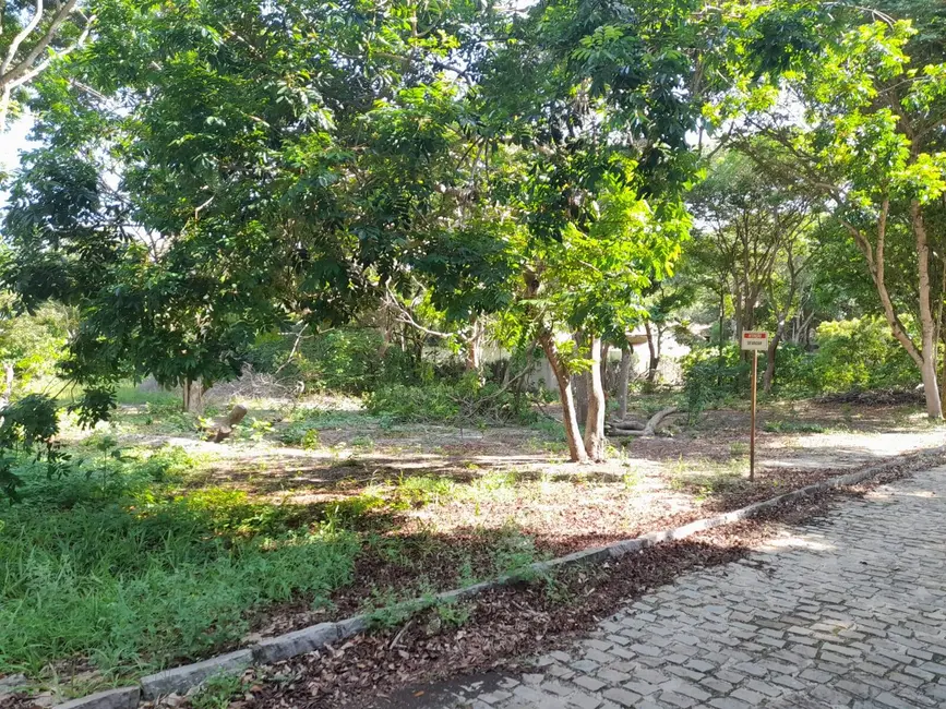 Foto 3 de Lote de Condomínio à venda, 985m2 em Tibau Do Sul - RN