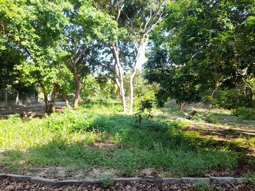 Foto 5 de Lote de Condomínio à venda, 985m2 em Tibau Do Sul - RN