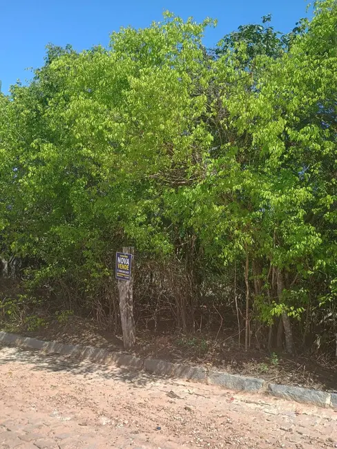 Foto 2 de Terreno / Lote à venda, 15000m2 em Tibau Do Sul - RN