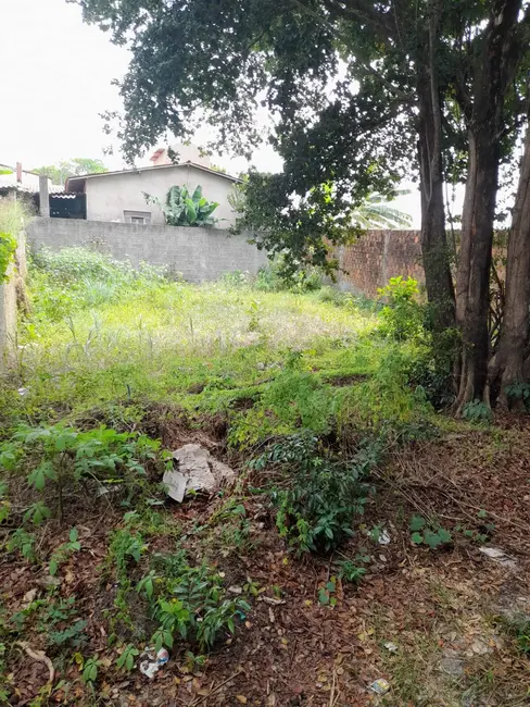 Foto 2 de Terreno / Lote à venda, 1219m2 em Tibau Do Sul - RN
