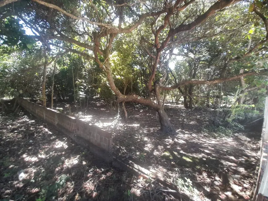 Foto 2 de Terreno / Lote à venda, 7730m2 em Tibau Do Sul - RN