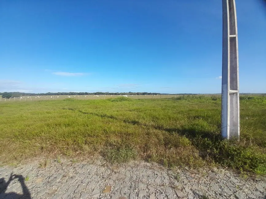 Foto 3 de Terreno / Lote à venda, 300m2 em Tibau Do Sul - RN