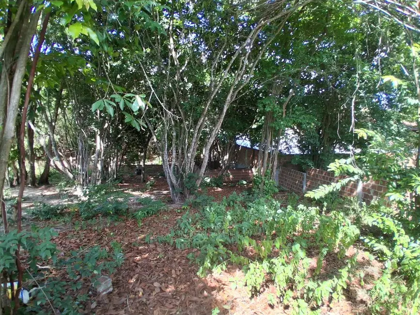 Terreno / Lote à venda, 625m2 em Tibau Do Sul - RN - imagem 3 Foto 3 de Terreno / Lote à venda, 625m2 em Tibau Do Sul - RN