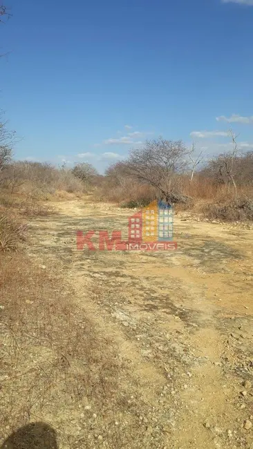 Foto 2 de Chácara à venda, 331m2 em Carnaubais - RN