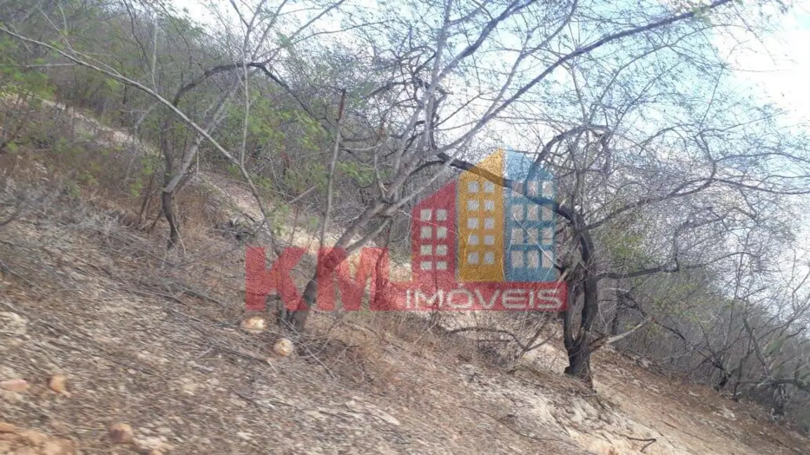 Foto 8 de Chácara à venda, 331m2 em Carnaubais - RN