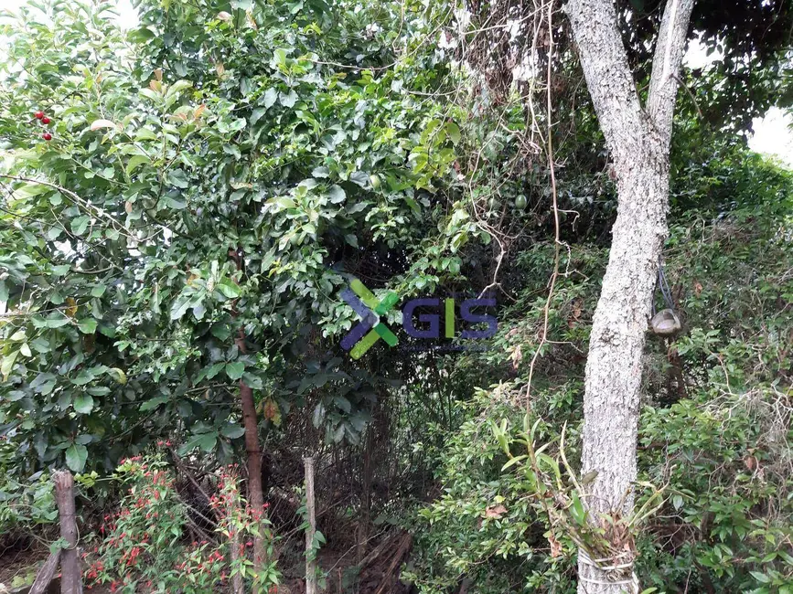 Foto 6 de Chácara com 4 quartos à venda, 3000m2 em Centro, Piracaia - SP