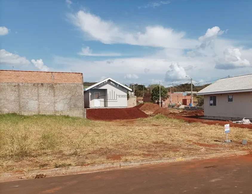 Foto 4 de Terreno / Lote à venda, 200m2 em Luis Antonio - SP