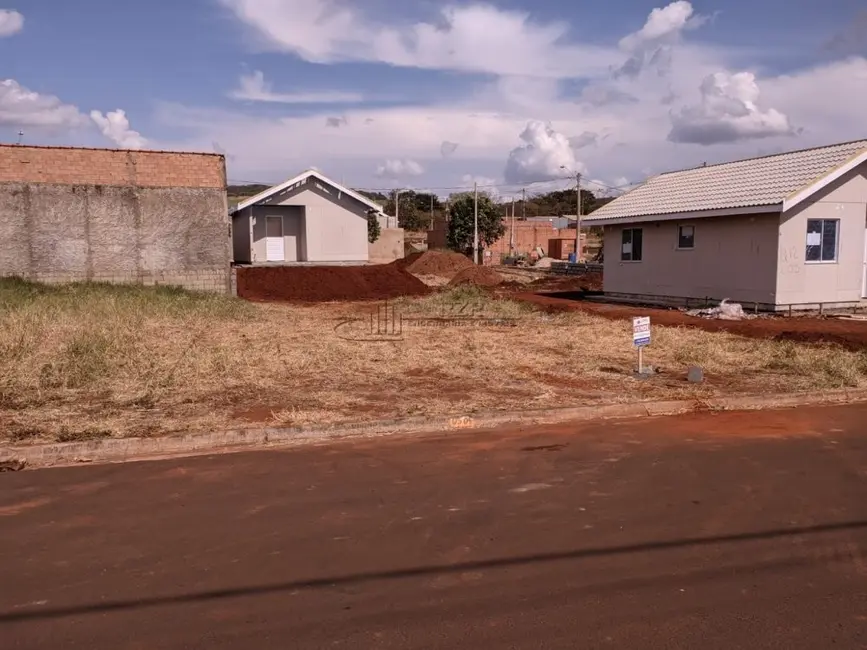 Foto 3 de Terreno / Lote à venda, 200m2 em Luis Antonio - SP