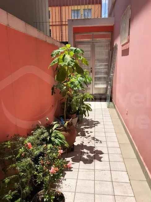 Foto 5 de Casa com 3 quartos à venda, 160m2 em Belenzinho, São Paulo - SP