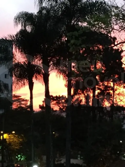 Foto 2 de Apartamento com 3 quartos à venda, 78m2 em Jardim Marajoara, São Paulo - SP