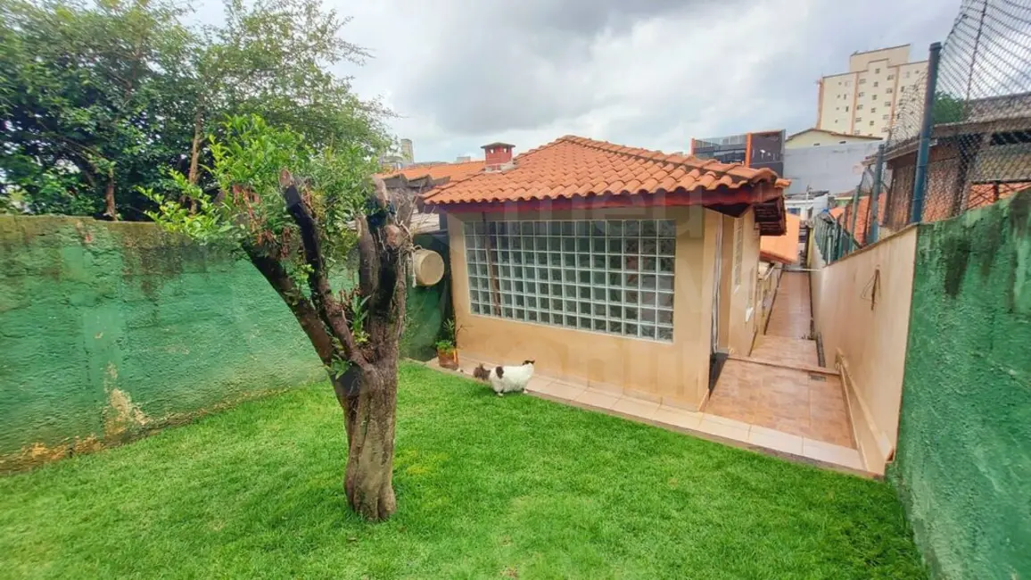 Casa com 2 quartos à venda, 120m2 em Ermelino Matarazzo, São Paulo - SP - imagem 8 Foto 8 de Casa com 2 quartos à venda, 120m2 em Ermelino Matarazzo, São Paulo - SP