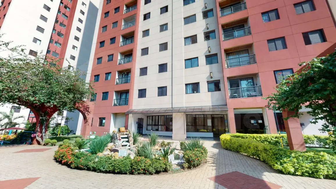 Foto 1 de Apartamento com 3 quartos à venda, 62m2 em Vila Arapuã, São Paulo - SP