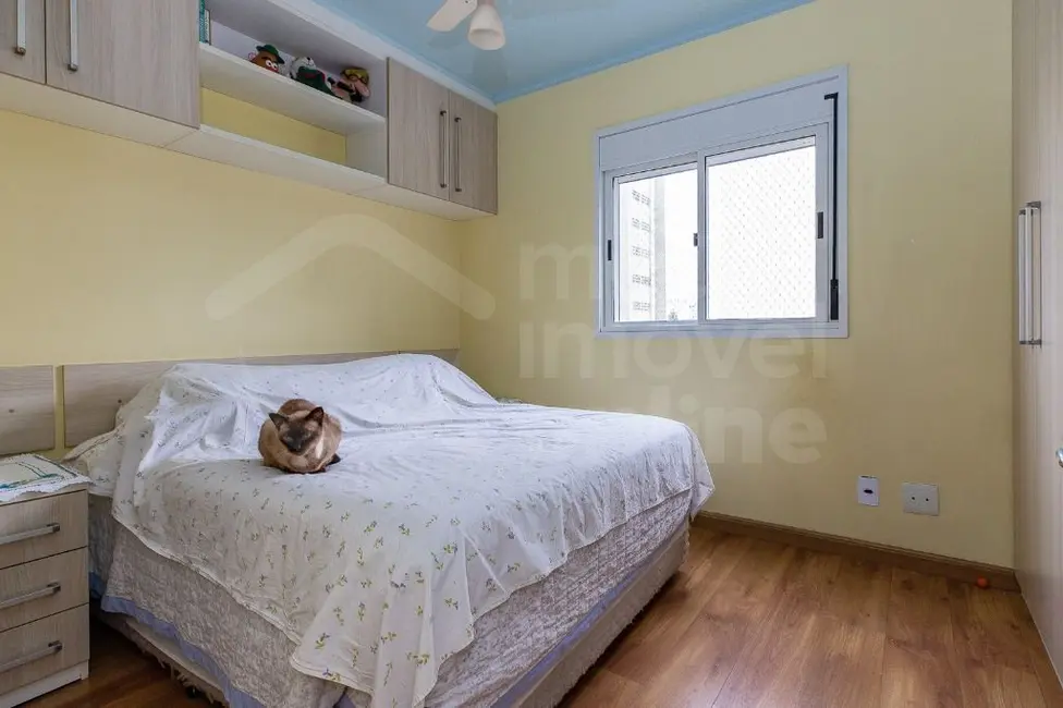 Apartamento com 2 quartos à venda, 81m2 em Aclimação, São Paulo - SP - imagem 8 Foto 8 de Apartamento com 2 quartos à venda, 81m2 em Aclimação, São Paulo - SP