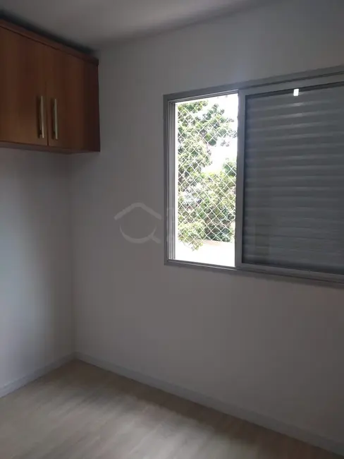 Apartamento com 3 quartos à venda, 60m2 em Vila Indiana, São Paulo - SP - imagem 7 Foto 7 de Apartamento com 3 quartos à venda, 60m2 em Vila Indiana, São Paulo - SP