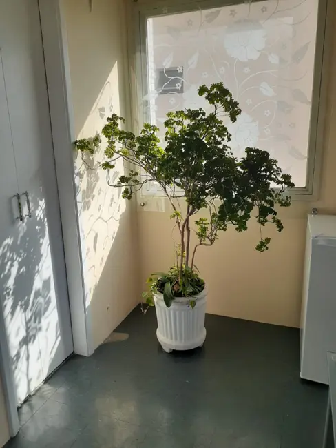 Foto 6 de Sala Comercial para alugar, 44m2 em Vila Clementino, São Paulo - SP