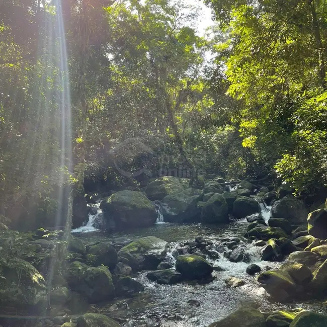 Foto 8 de Casa com 5 quartos à venda, 20000m2 em Sao Sebastiao - SP