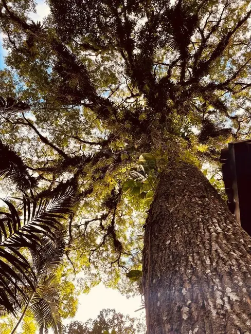 Foto 3 de Casa com 5 quartos à venda, 20000m2 em Sao Sebastiao - SP