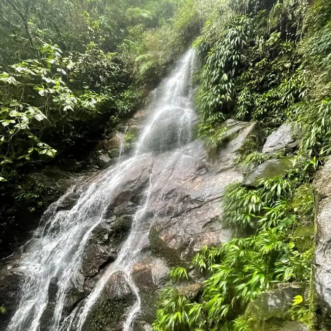 Foto 9 de Casa com 5 quartos à venda, 20000m2 em Sao Sebastiao - SP