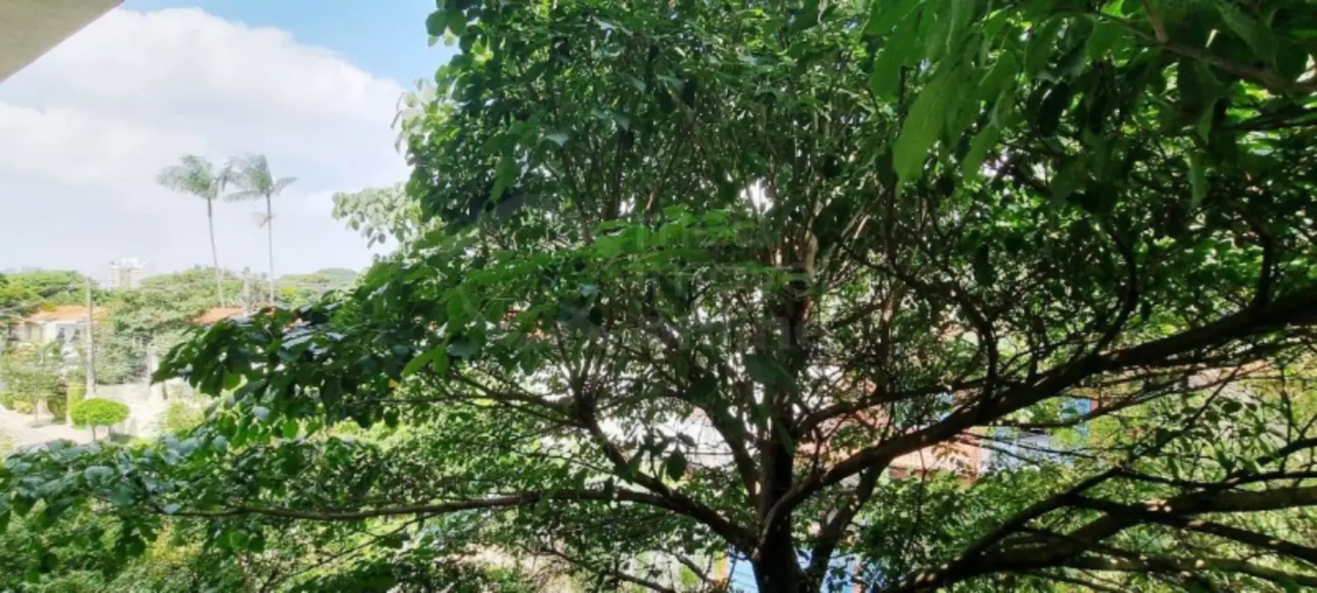 Foto 8 de Apartamento com 3 quartos à venda, 120m2 em Jardim Paulistano, São Paulo - SP