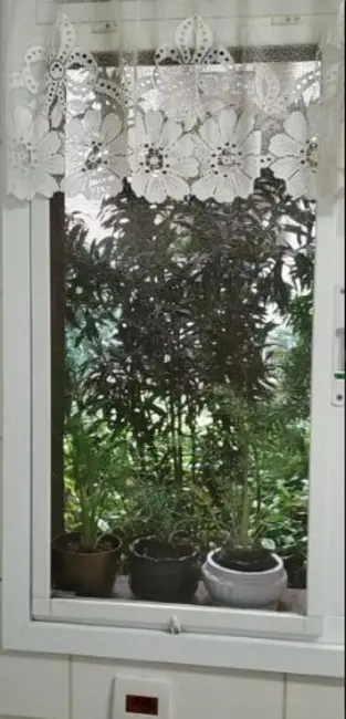 Foto 8 de Apartamento com 3 quartos à venda, 113m2 em Jardim Tupanci, Barueri - SP