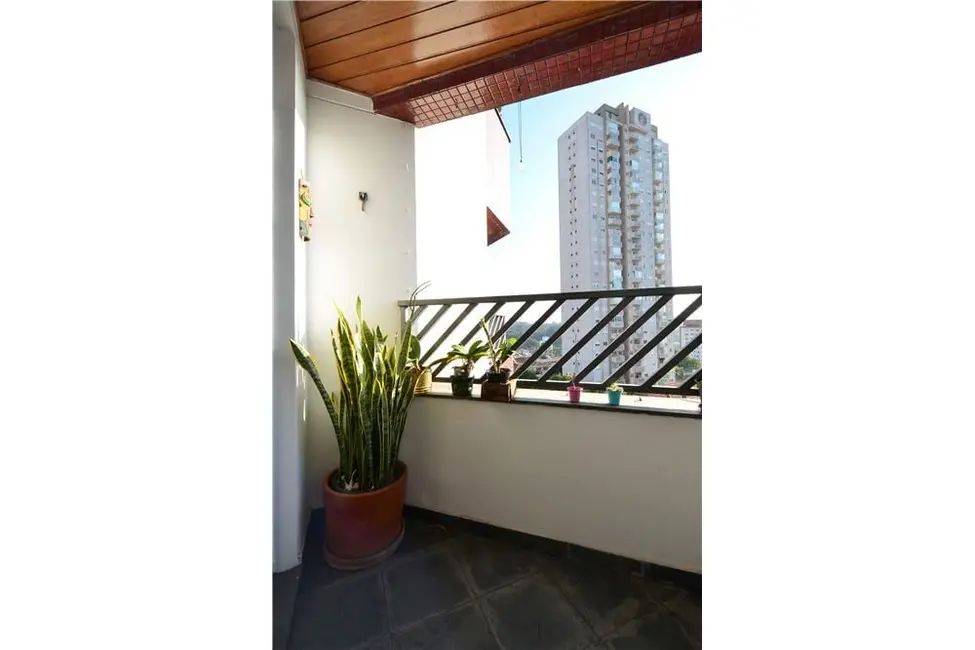 Apartamento com 3 quartos à venda, 93m2 em Vila Mascote, São Paulo - SP - imagem 9 Foto 9 de Apartamento com 3 quartos à venda, 93m2 em Vila Mascote, São Paulo - SP