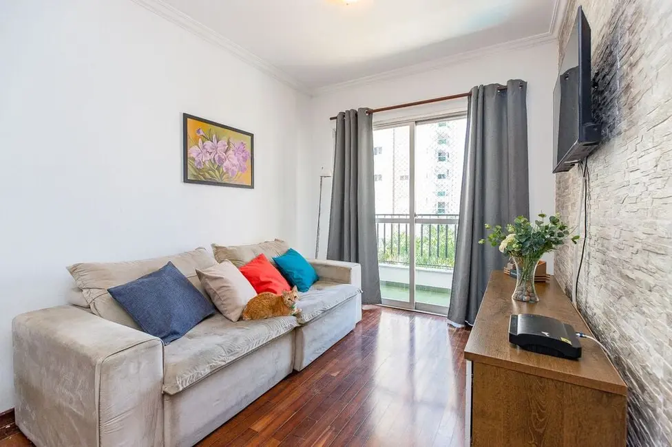 Apartamento com 2 quartos à venda, 60m2 em Vila Mascote, São Paulo - SP - imagem 3 Foto 3 de Apartamento com 2 quartos à venda, 60m2 em Vila Mascote, São Paulo - SP