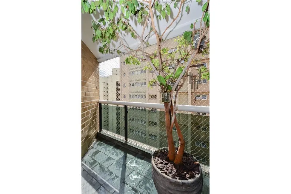 Apartamento com 3 quartos à venda, 90m2 em Moema, São Paulo - SP - imagem 4 Foto 4 de Apartamento com 3 quartos à venda, 90m2 em Moema, São Paulo - SP