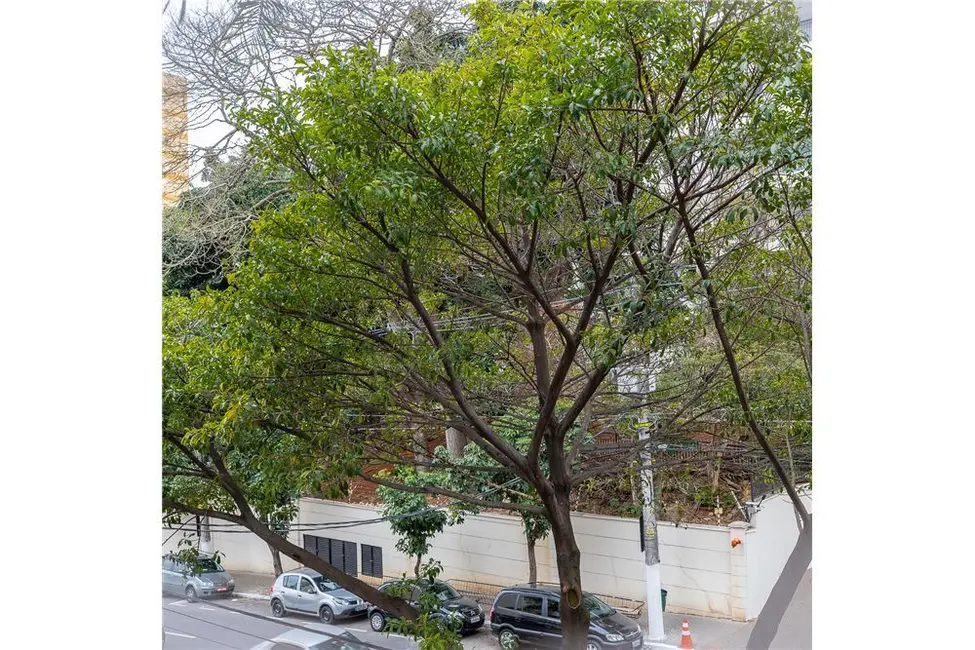 Apartamento com 2 quartos à venda, 81m2 em Aclimação, São Paulo - SP - imagem 4 Foto 4 de Apartamento com 2 quartos à venda, 81m2 em Aclimação, São Paulo - SP