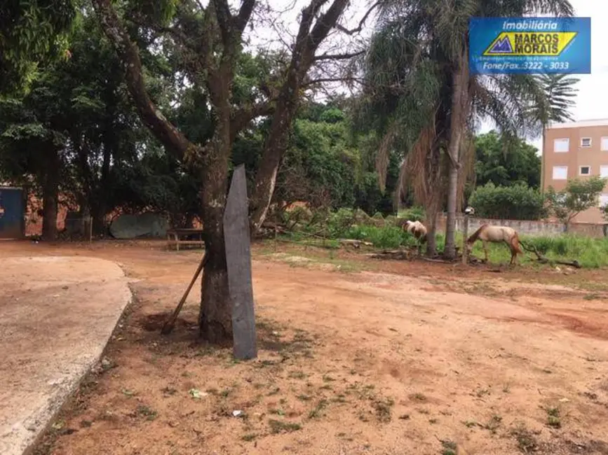 Foto 7 de Terreno / Lote à venda, 6000m2 em Loteamento Dinorá Rosa, Sorocaba - SP