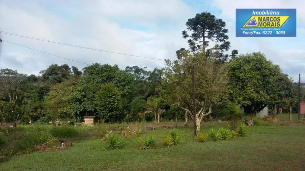 Foto 7 de Chácara com 4 quartos à venda, 5316m2 em Piedade - SP