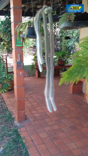 Foto 3 de Chácara com 3 quartos à venda, 1250m2 em Vila Helena, Sorocaba - SP