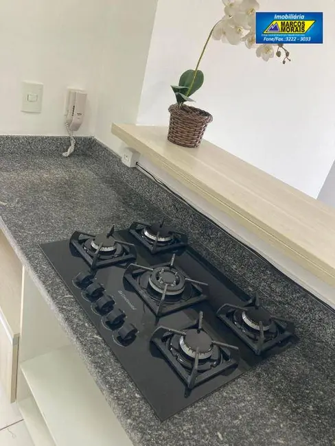 Apartamento com 3 quartos à venda e para alugar, 65m2 em Vila Progresso, Sorocaba - SP - imagem 4 Foto 4 de Apartamento com 3 quartos à venda e para alugar, 65m2 em Vila Progresso, Sorocaba - SP