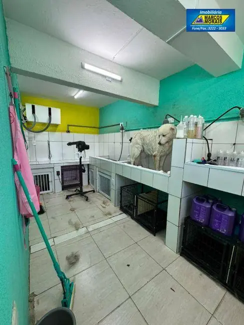 Foto 3 de Casa para alugar, 125m2 em Vila Augusta, Sorocaba - SP