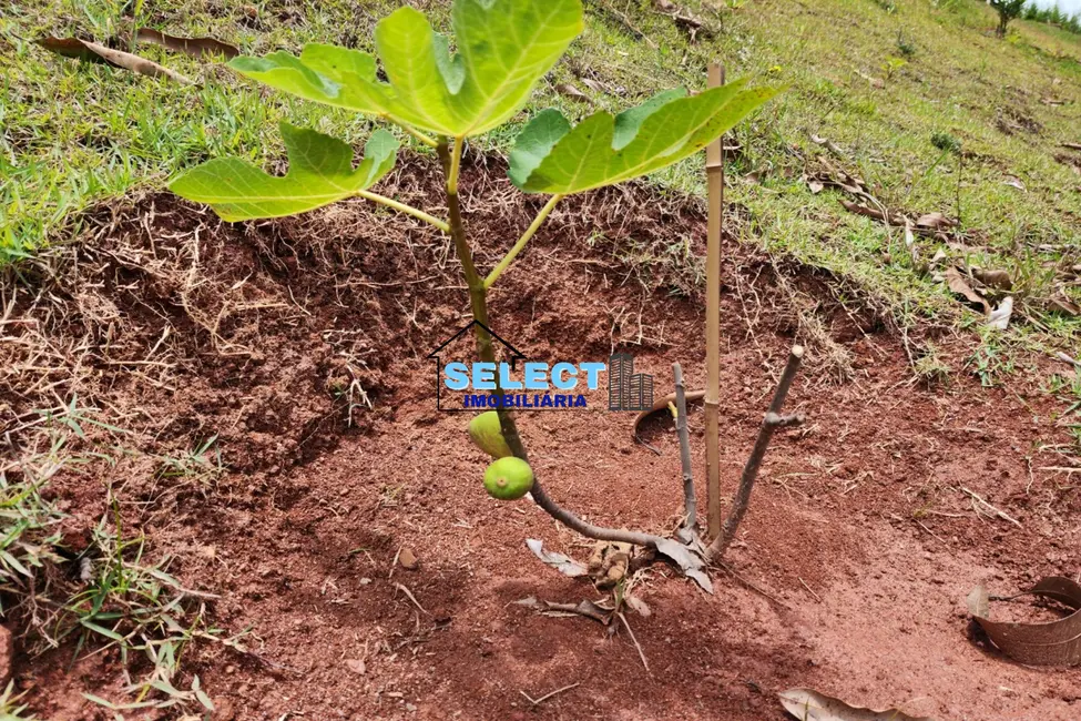 Sítio / Rancho com 2 quartos à venda, 26890m2 em Macuco, Valinhos - SP - imagem 6 Foto 6 de Sítio / Rancho com 2 quartos à venda, 26890m2 em Macuco, Valinhos - SP