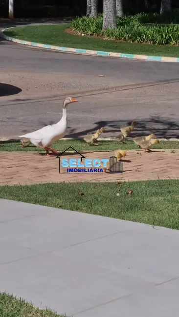 Foto 4 de Terreno / Lote à venda, 504m2 em Louveira - SP