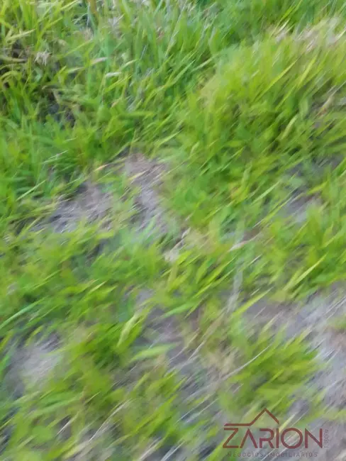 Foto 9 de Chácara à venda, 2000m2 em Santa Luzia Rural, Taubate - SP