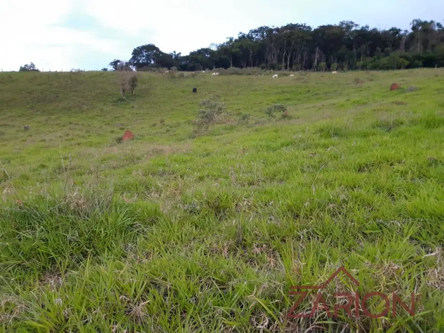Foto 4 de Chácara à venda, 2000m2 em Santa Luzia Rural, Taubate - SP