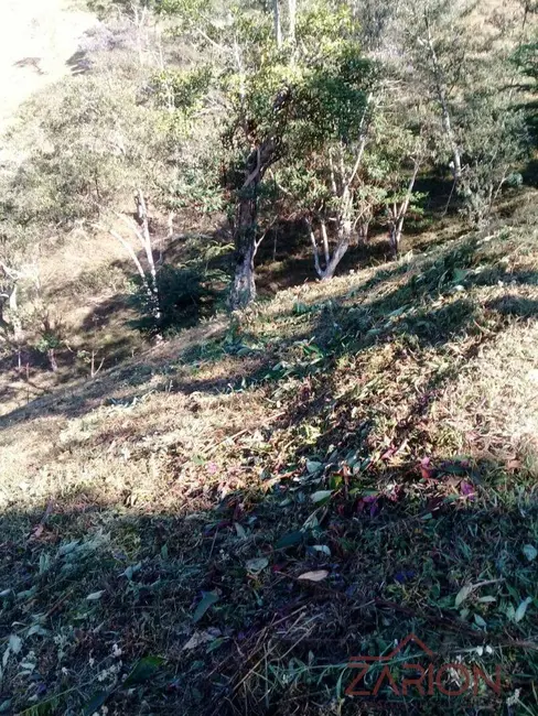 Chácara à venda, 30000m2 em Redencao Da Serra - SP - imagem 5 Foto 5 de Chácara à venda, 30000m2 em Redencao Da Serra - SP
