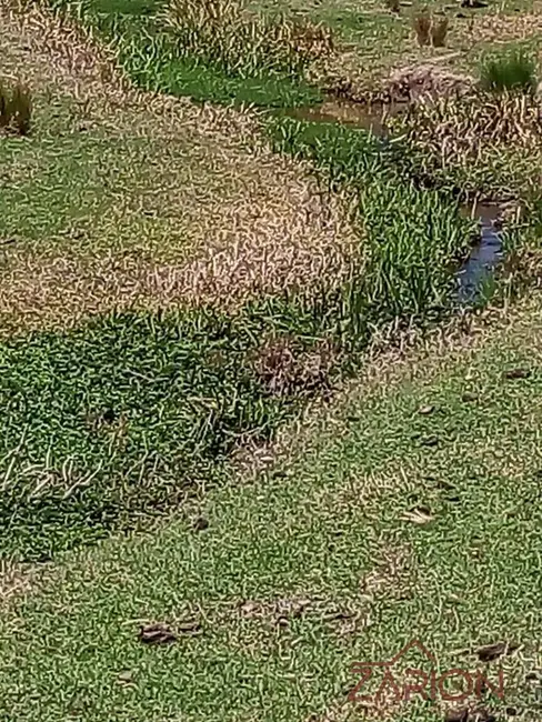 Chácara à venda, 435600m2 em Sao Luiz Do Paraitinga - SP - imagem 7 Foto 7 de Chácara à venda, 435600m2 em Sao Luiz Do Paraitinga - SP