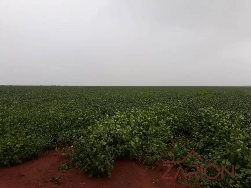 Foto 4 de Fazenda / Haras à venda, 760m2 em Centro, Uberlandia - MG