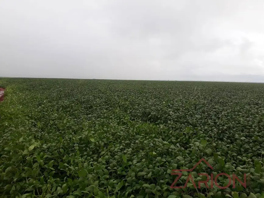 Foto 2 de Fazenda / Haras à venda, 760m2 em Centro, Uberlandia - MG